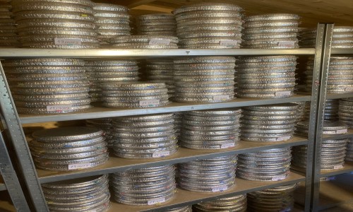 les bébés escargots sont arrivés !