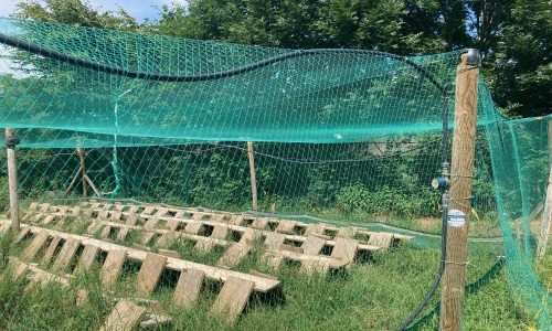 2024, formation découverte héliciculture à La Motte Cervolex