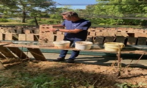 2024, formation découverte héliciculture à Besançon