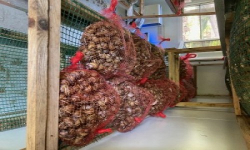 2024, formation découverte héliciculture à Besançon