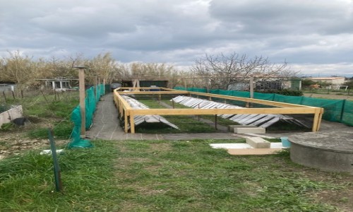 installation du filet anti-oiseaux