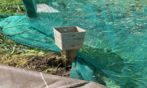 installation du filet anti-oiseaux