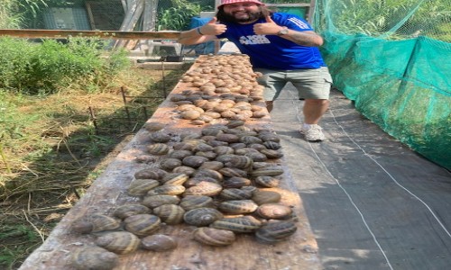 ramassage escargots