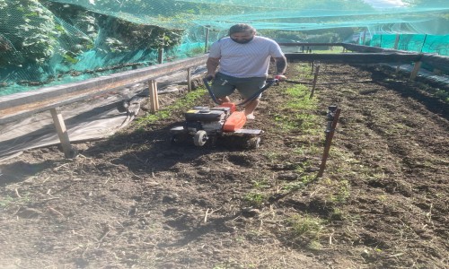 travaux d'hiver du parc